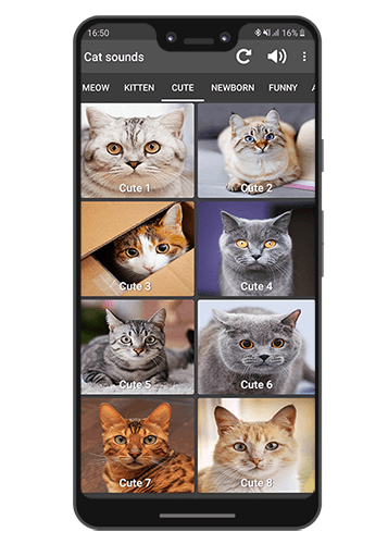 Cats sounds - Apps on Google Play